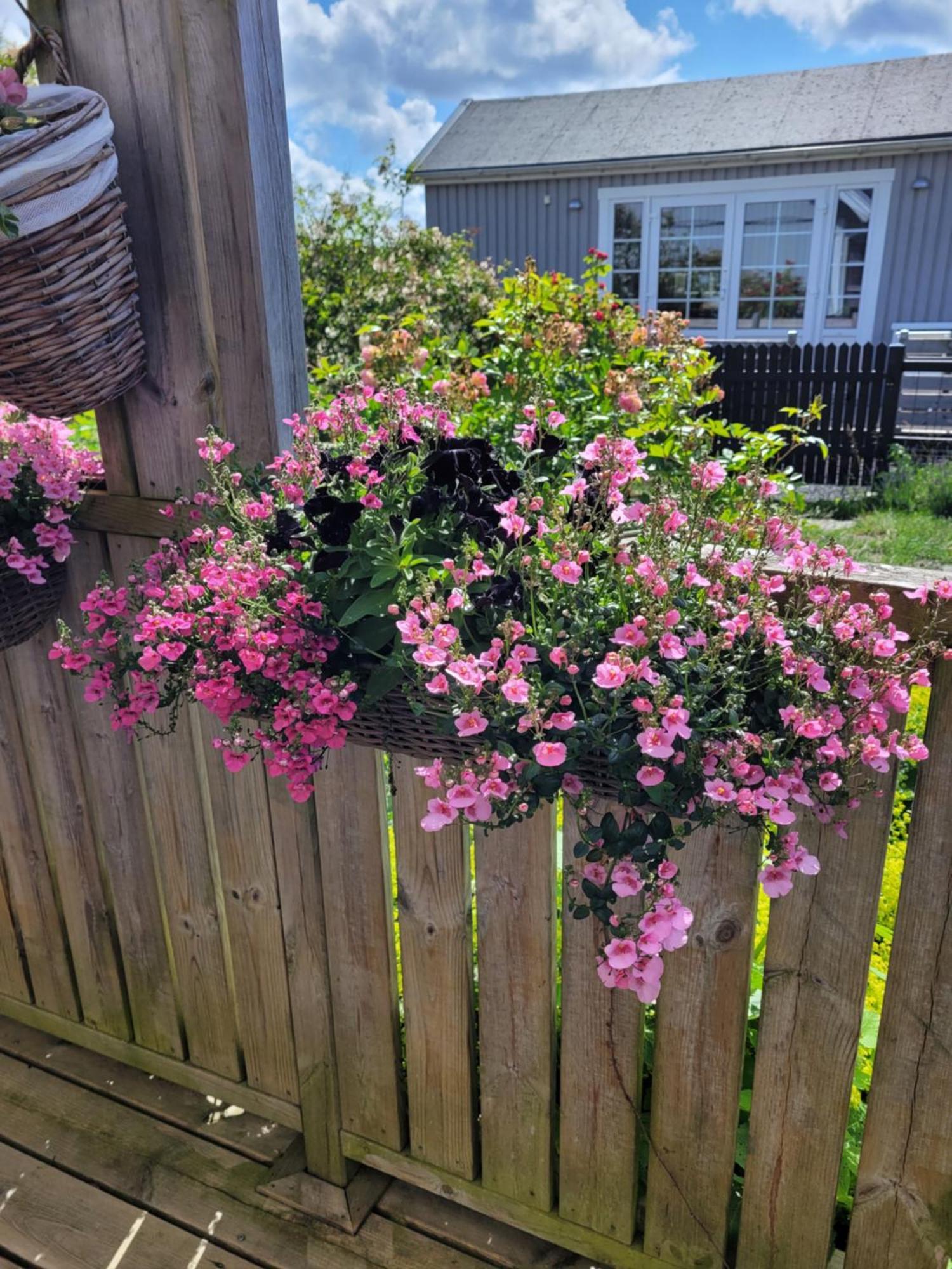 Helgas Stuga I Jonstorp Bagian luar foto